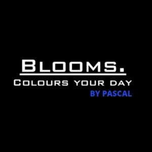 Blooms logo