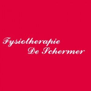 Praktijk voor Fysiotherapie De Schermer logo