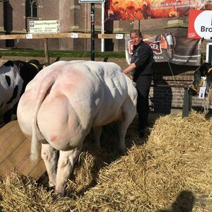 slagerij kersenboogerd image 2