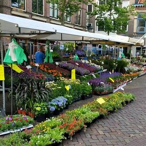 Fa. Stins en Vijn image 2