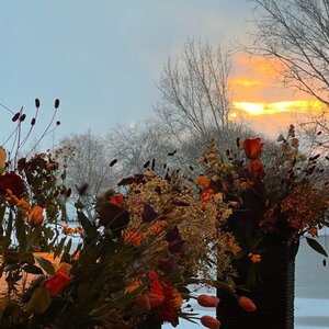 Aline Uitvaartbegeleiding image 3