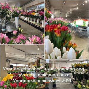 Intermediair Groep Holland B.V. image 1