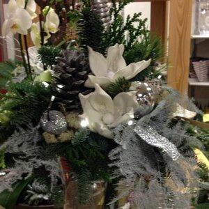 Neeltje&#039;s Bloemen image 4