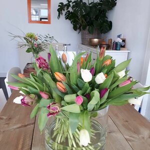 Het Huis van Aandacht image 4