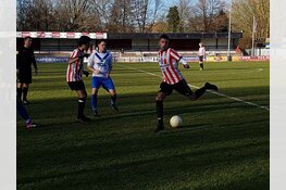 Zwaluwen´30 en Hollandia boeken zege