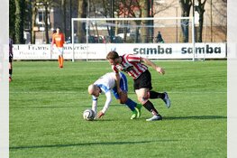 Hollandia verslaat concurrent Leonidas