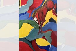 Expositie Tina Baas & muziek Erika Nannings bij Kunst in de Kas