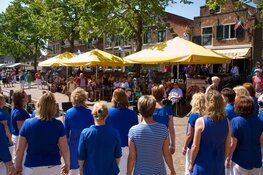Korenfestival Medemblik op zaterdag 9 juni