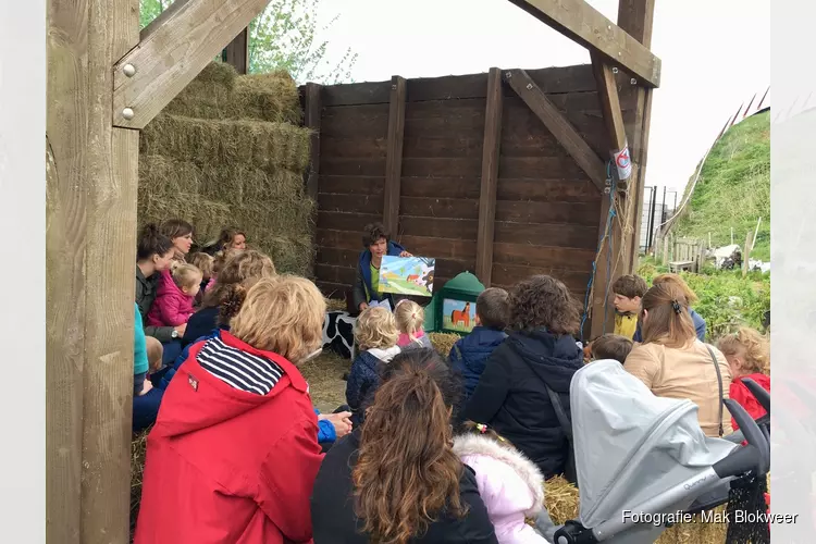 We zetten de kippen in het zonnetje!