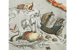 Fabeldieren en zeemonsters in het Westfries Museum