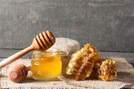 Bijen in het middelpunt in het Rundveemuseum op 5 en 12 augustus