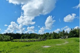 IVN West-Friesland organiseert bronstijdwandeling in het Streekbos