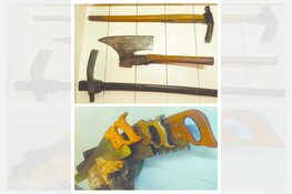 Expositie over hout en bewerking nadert einde in museumboerderij Hoogwoud