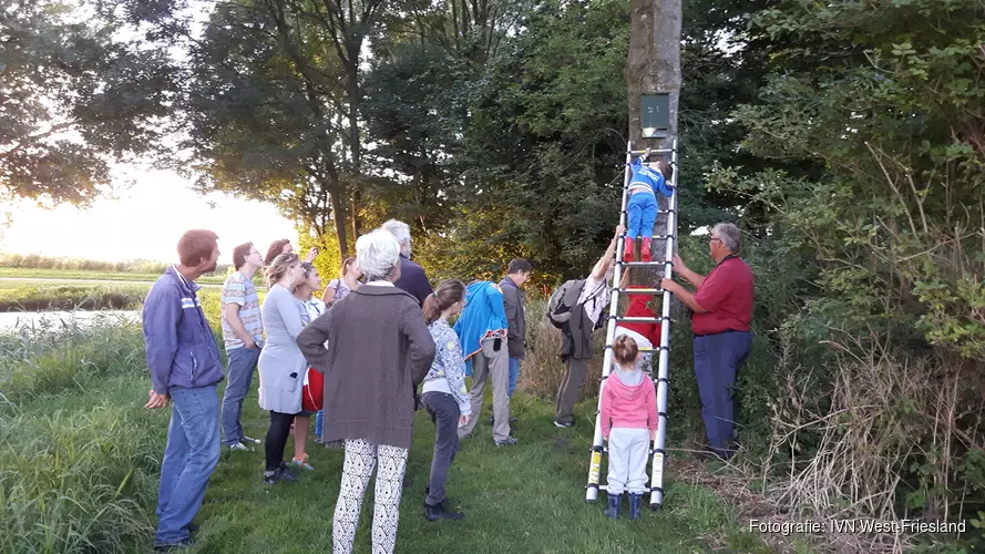 Luisteren naar vleermuizen bij het Egboetje