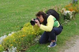 Macrofotografie en nuttige insecten in Rundveemuseum op 2 september