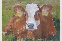 Workshop Koeienschilderen, met de ezel in de wei