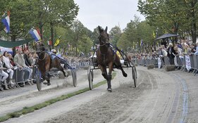 Fotowedstrijd: 'Prins Hendrik' gaat de lucht in op 15 september!