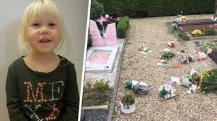Crowdfundingactie gestart om vernield grafje van kleuter Luna te herstellen