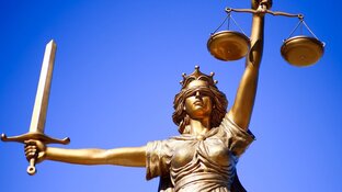 Hond verwaarloosd: voorwaardelijke werkstraf