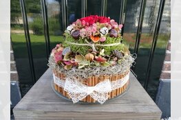 Feestelijke winterworkshops bij Sociaal-Cultureel Centrum De Brink in Obdam