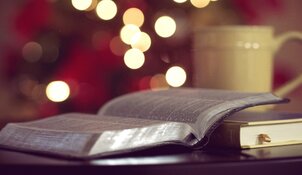 In de Kerstvakantie een fijne cursus uitzoeken en na de jaarwisseling met uw studie beginnen? Het kan … bij De Brink!