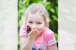 Vlindertuin Vlindorado vanaf Valentijnsdag geopend