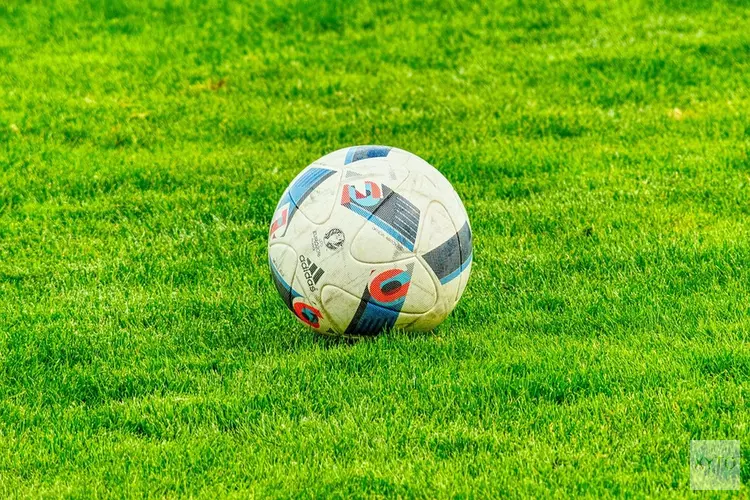 Grasshoppers doet goede zaken met winst op VIOS W