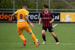 Net niet voor Zwaluwen’30