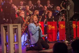 No PressSure met Loek A Like Neil Diamond