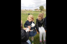 Voorleesfeest tussen de lammetjes