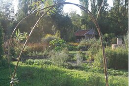 Geheimen van de Kloostertuin