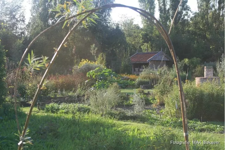 Geheimen van de Kloostertuin