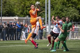 Hollandia stelt voor rust teleur