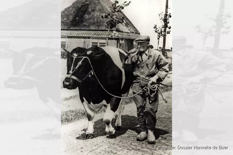 Expositie over nieuw leven in Rundveemuseum in Aartswoud