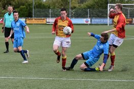 Monsterscore brengt Strandvogels weer aan kop