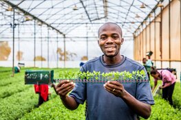 Dekker Chrysanten haalt Tanzaniaanse medewerkers naar Nederland voor vijfdaags werkbezoek