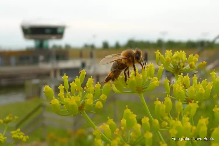 Natuurwandeling bij het Naviduct
