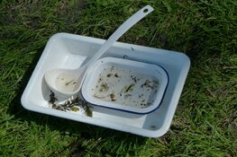 Slootjesdagen bij IVN West-Friesland