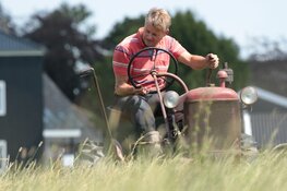 Historisch maaien op het weiland achter het Rundveemuseum