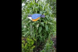 Aanbiedingen 2019 Theetuin & Atelier The Twins