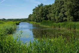 IVN Vroege vogelvaartocht