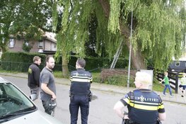 Man valt ruim 10 meter naar beneden tijdens snoeien van boom