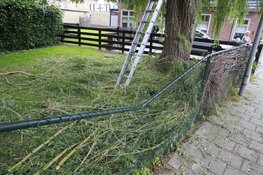 Man valt ruim 10 meter naar beneden tijdens snoeien van boom