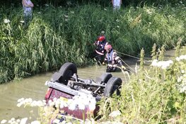 Auto met drie honden te water in Avenhorn