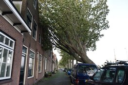 Boom valt op auto en huis