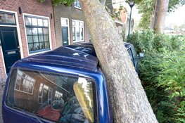 Boom valt op auto en huis