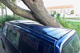Boom valt op auto en huis