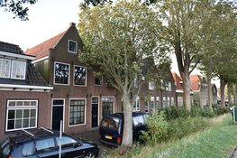 Boom valt op auto en huis