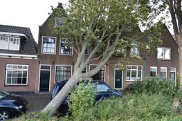 Boom valt op auto en huis