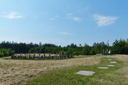 Bronstijdwandeling door het Streekbos